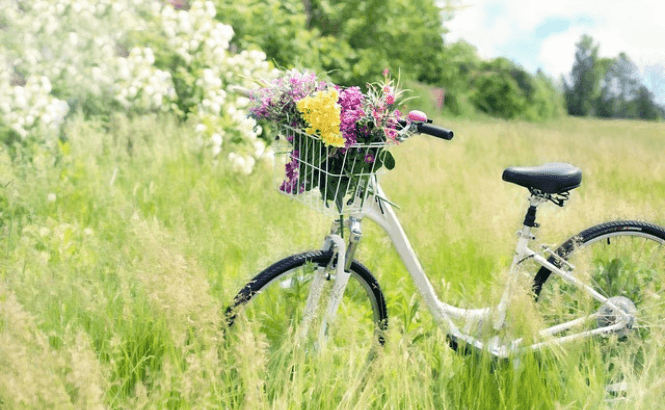 לרוכבי אופניים